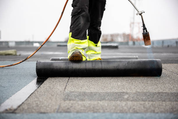 Best Roof Maintenance and Cleaning  in Crockett, CA